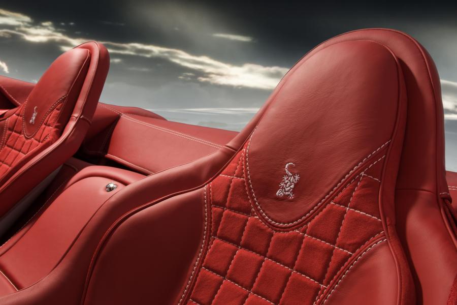 Детали интерьера Wiesmann Roadster MF5 Limited Edition 2009 года  (фото 4 из 17)